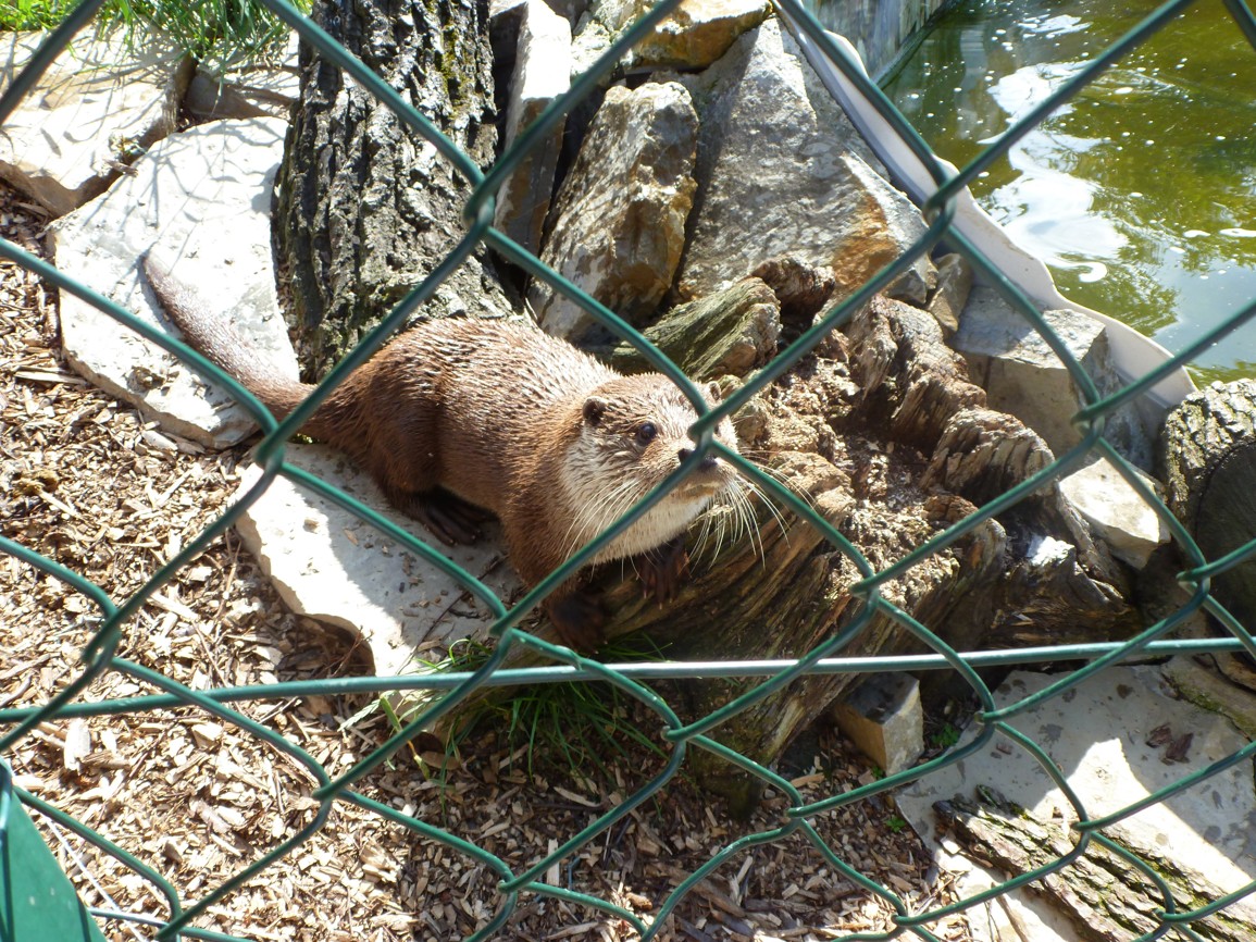P1080249