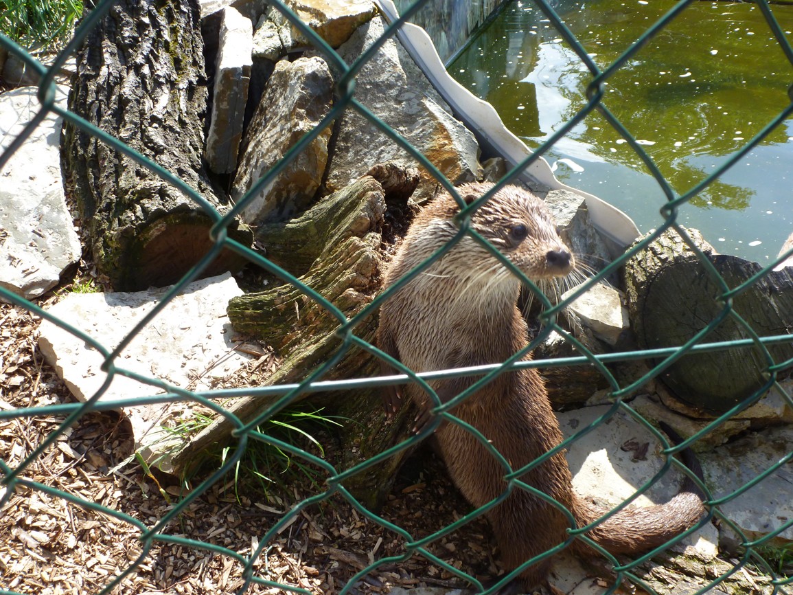 P1080251