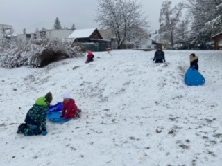 image2 (1)