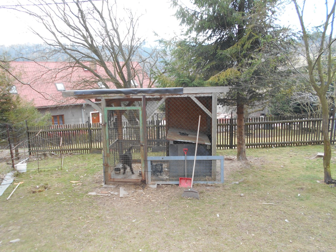 DSCN5284