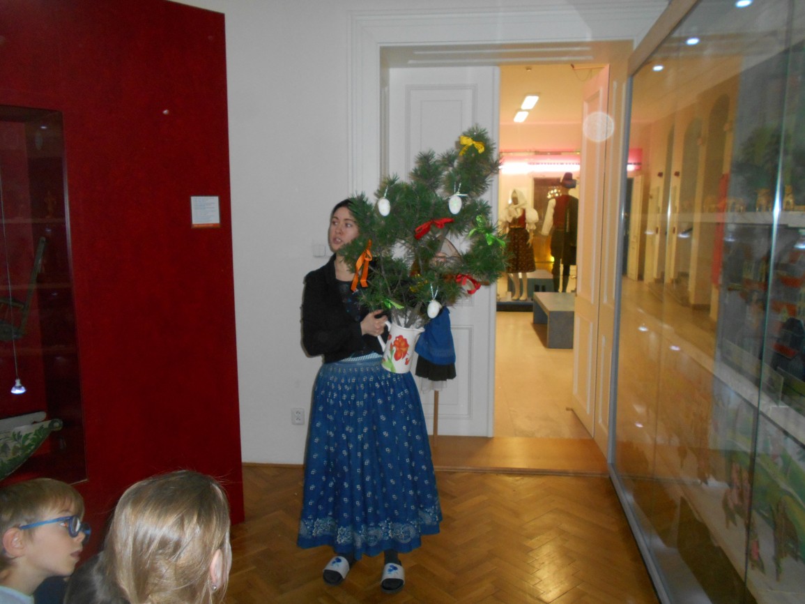 DSCN5377
