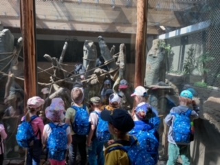 image1 (5)