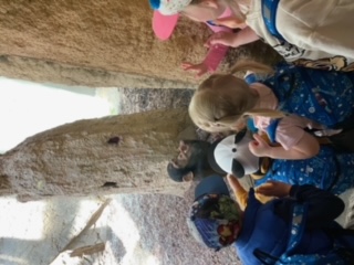 image2 (5)