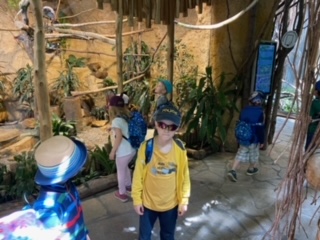 image4 (4)