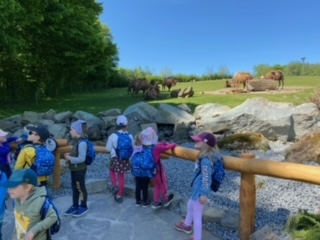 image7 (3)