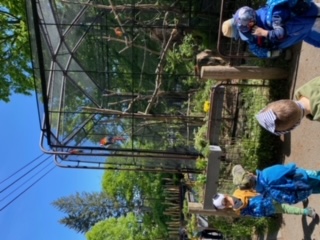 image18 (3)
