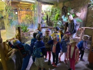 image21 (2)
