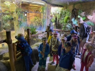 image22 (1)