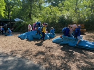 image33 (1)
