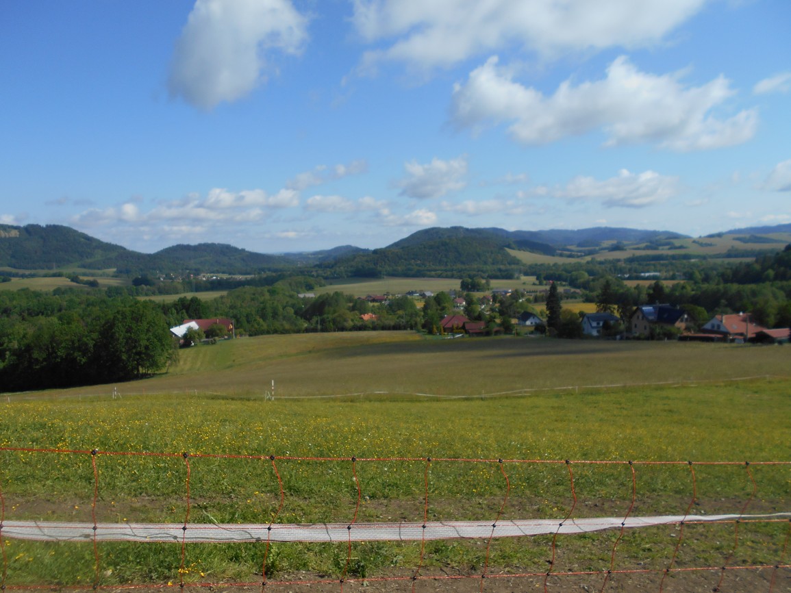 DSCN5488