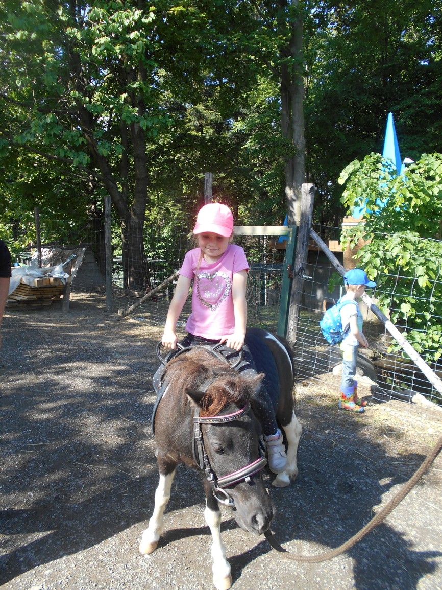 DSCN5507