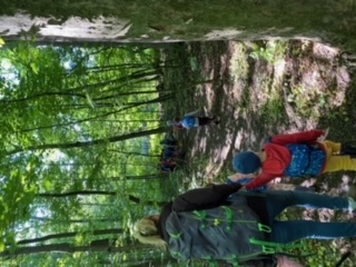 image36 (1)