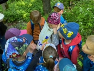 image7 (4)
