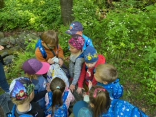 image9 (5)