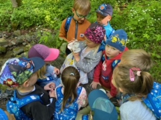 image10 (6)