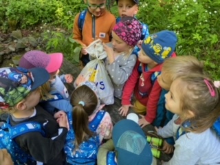 image11 (5)