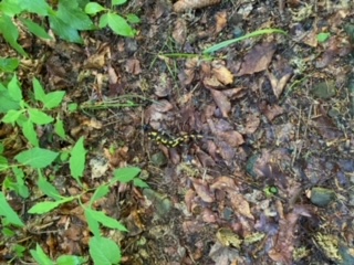 image14 (4)
