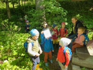 image15 (4)