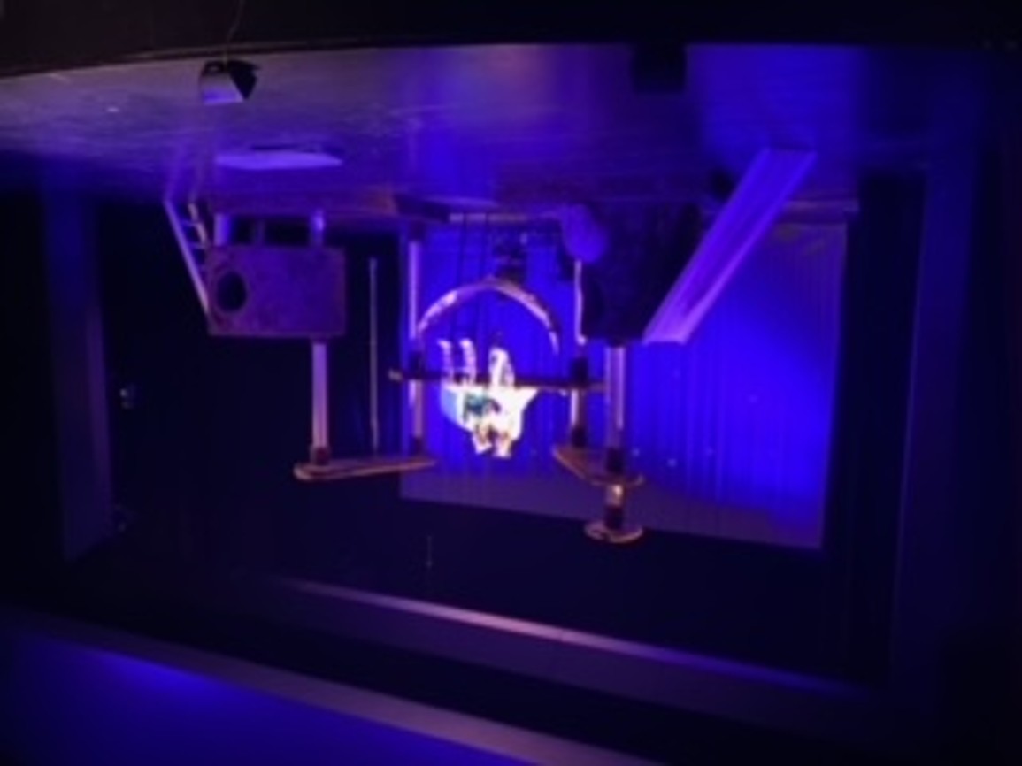 thumbnail_image1