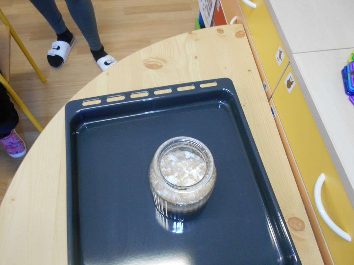 DSCN6370