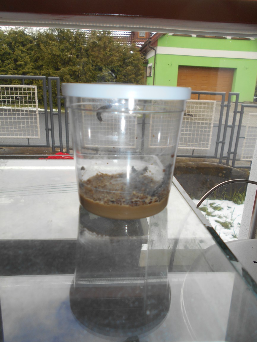 DSCN7870