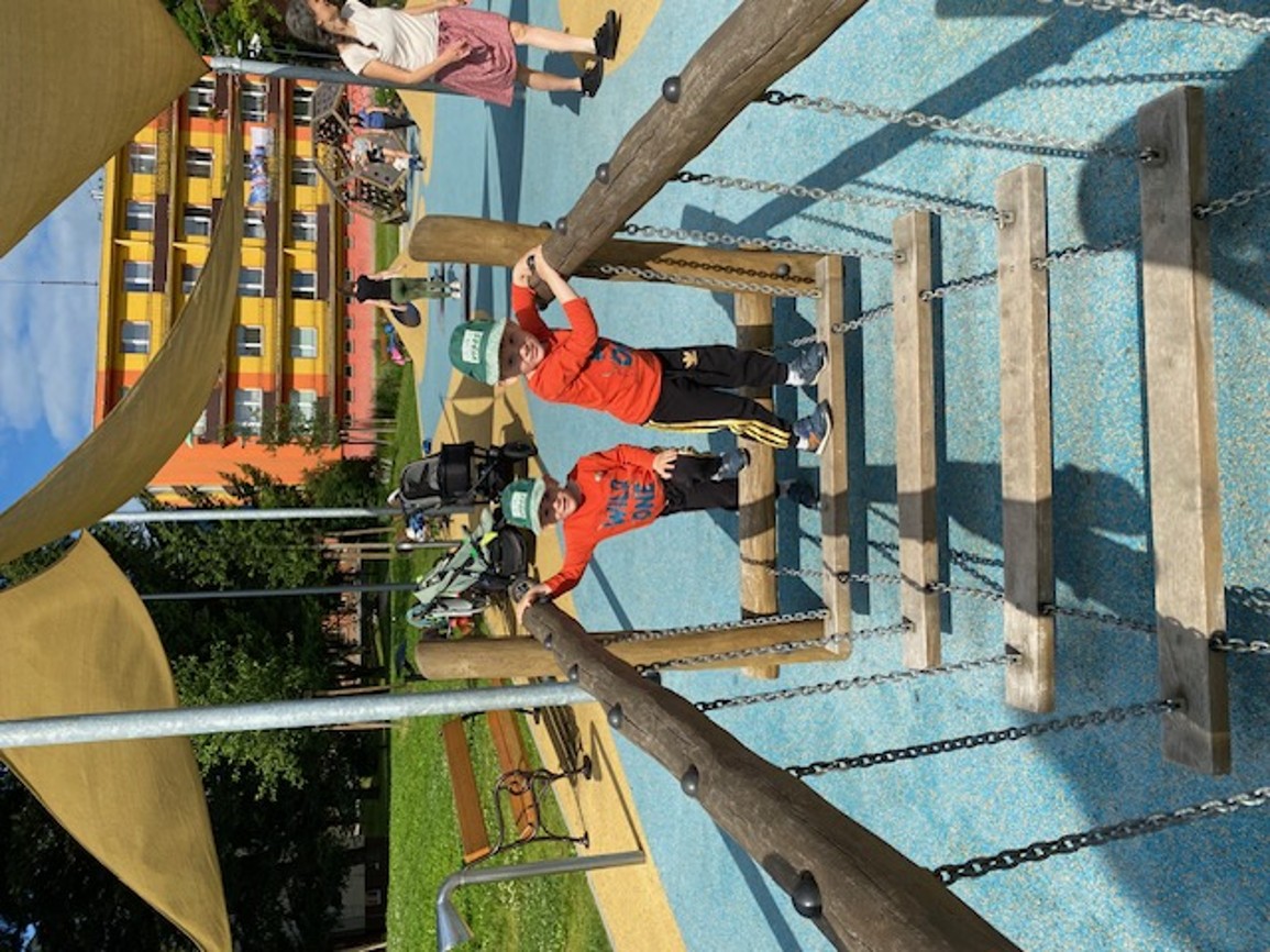 IMG_1229